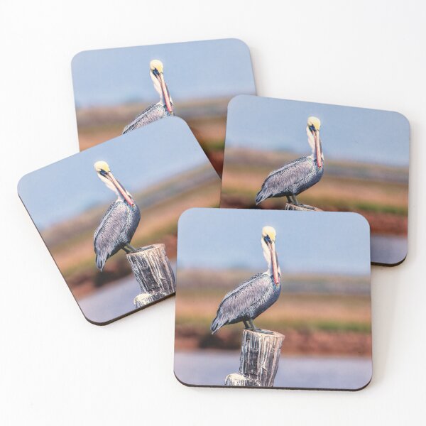 Item preview, Lone Pelican on a post designed and sold by Texas Enfocus Photography.