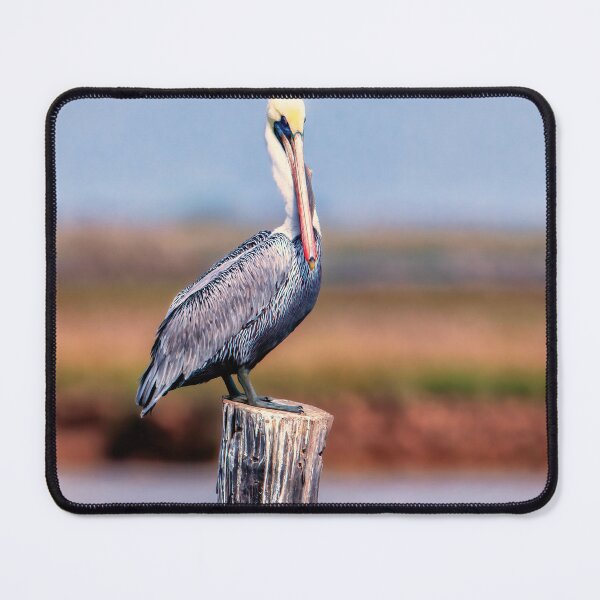 Item preview, Lone Pelican on a post designed and sold by Texas Enfocus Photography.