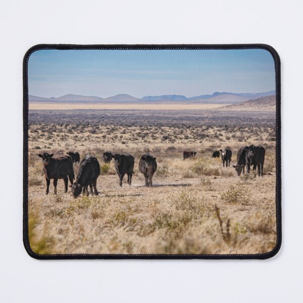 Item preview, Highplains Cattle designed and sold by Texas Enfocus Photography.