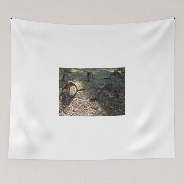 Item preview, Kangaroos grazing at Halls Gap Victoria designed and sold by exploramum.