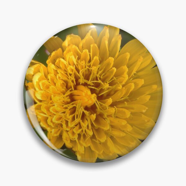 Item preview, Half Bloom Dandelion designed and sold by gistinker.