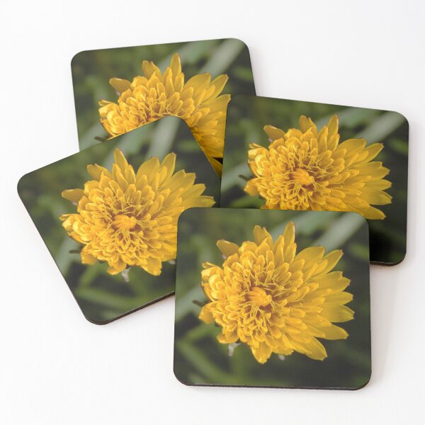 Item preview, Half Bloom Dandelion designed and sold by gistinker.