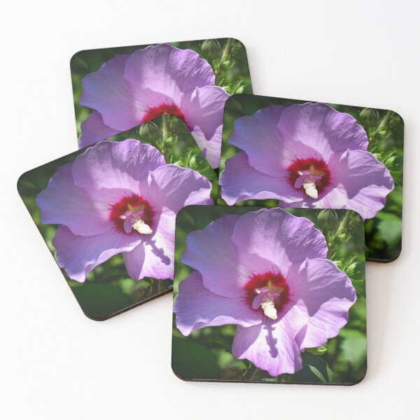 Aperçu de l'œuvre Belle Rose Pourpre Rosé Vif De Sharon Hibiscus Photographie De Fleurs créée et vendue par CaytlinEPhotos.
