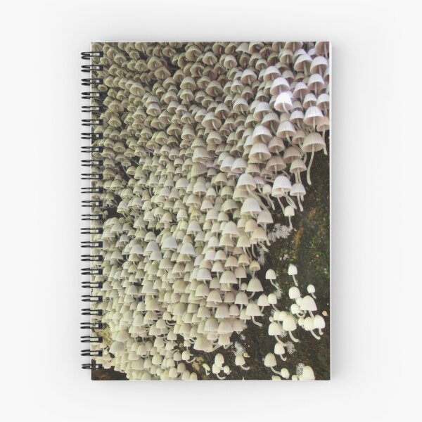 Item preview, A Multitude of Mycena Toadstools, Minnamurra, Australia. designed and sold by kaysharp.