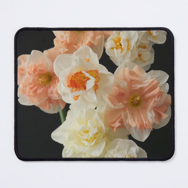 Item preview, Beautiful Daffodils designed and sold by Paigemox.