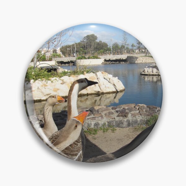 Item preview, Wild geese and pond water in montazah park designed and sold by sadeek1021953Ss.