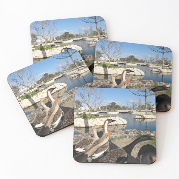 Item preview, Wild geese and pond water in montazah park designed and sold by sadeek1021953Ss.