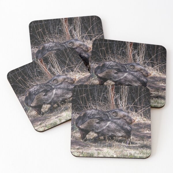 Item preview, Javelina Friends designed and sold by Texas Enfocus Photography.