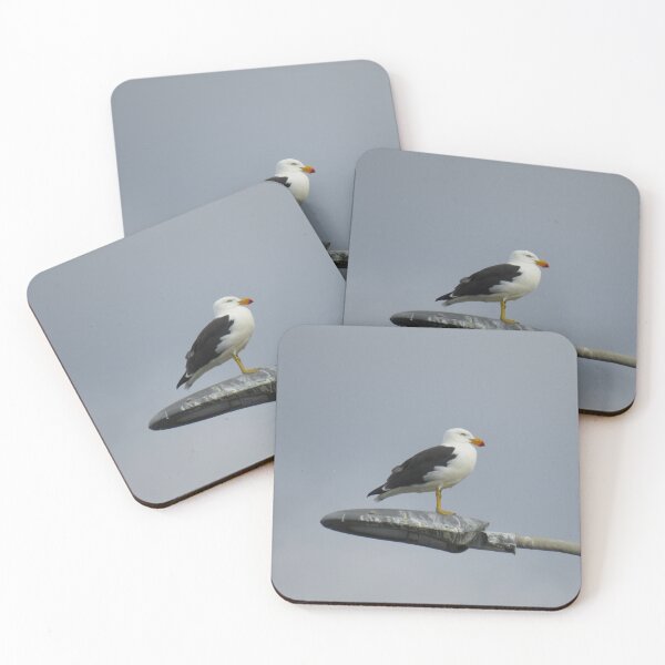 Item preview, Pacific gull on a street light designed and sold by greentiger1.
