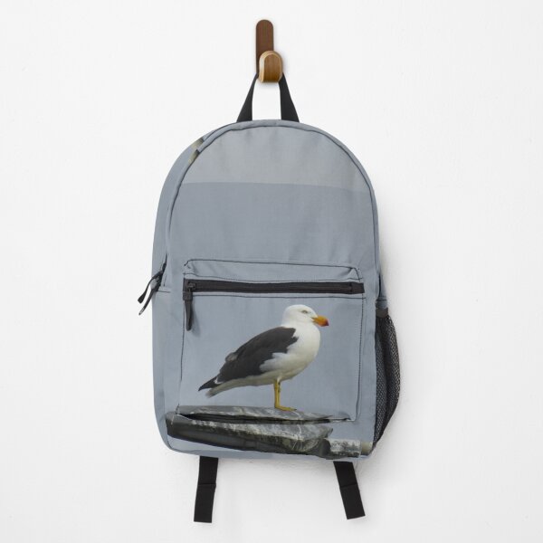 Item preview, Pacific gull on a street light designed and sold by greentiger1.