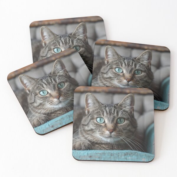 Item preview, Relaxing Grey Parlour Cat with Cyan Accents - Adorable and Trendy designed and sold by Shirtastically.