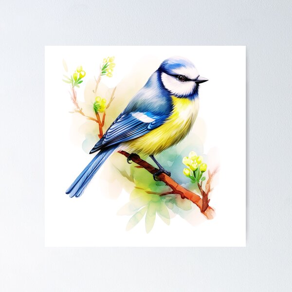 Aperçu de l'œuvre Aquarelle Eurasian Blue Tit Bird créée et vendue par TheAnimalZ00.