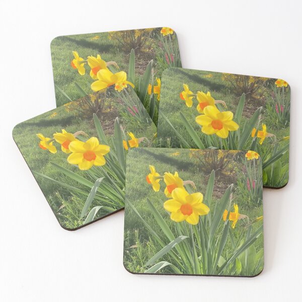 Item preview, Bicolor Daffodils  designed and sold by Amanda1775.
