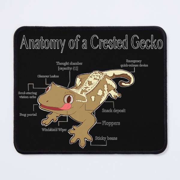 Item preview, Anatomy of a Crested Gecko designed and sold by Hannah Ryman.