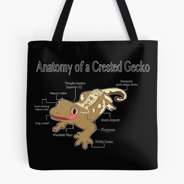 Item preview, Anatomy of a Crested Gecko designed and sold by Hannah Ryman.