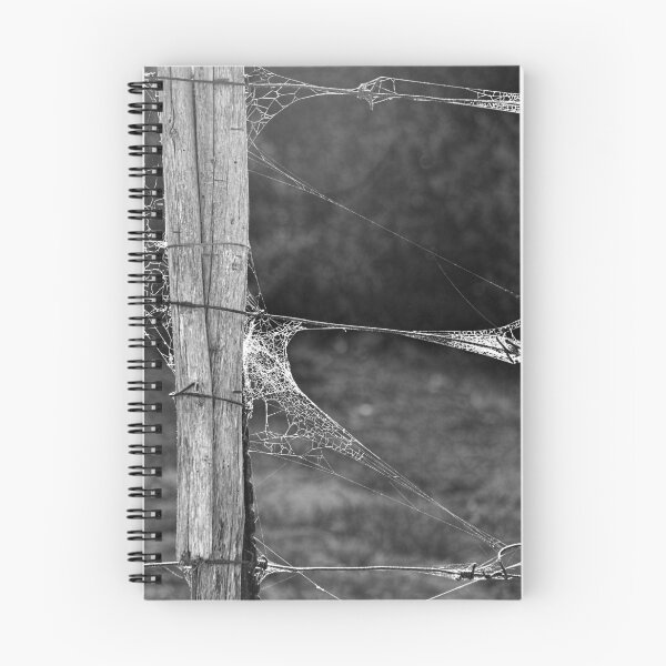 Item preview, Webs and Pole (highest quality and resolution) designed and sold by Pete Klimek.