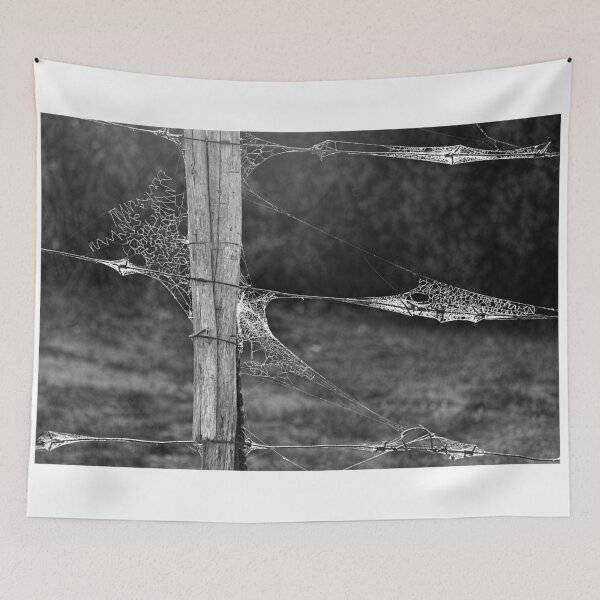 Item preview, Webs and Pole (highest quality and resolution) designed and sold by Pete Klimek.
