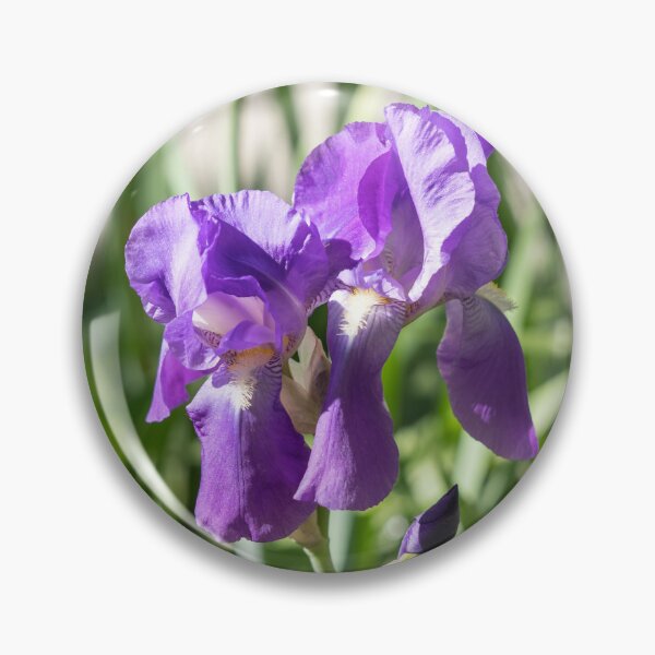 Item preview, Amethyst Purple Iris Blooms at the Garden Edge designed and sold by Georgia Mizuleva.