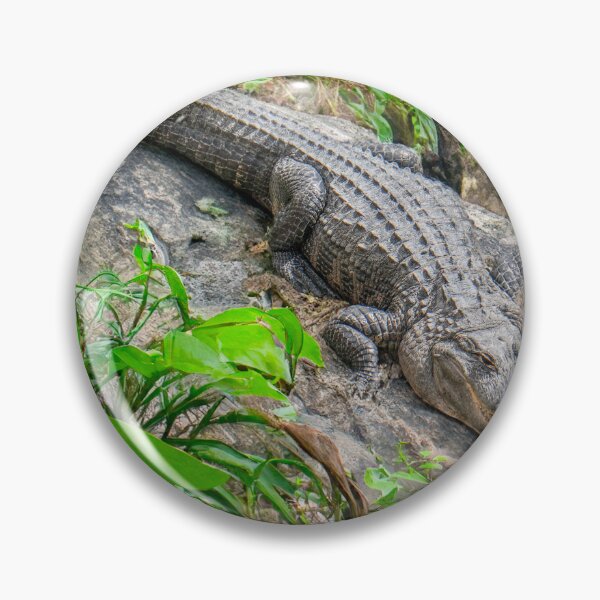 Item preview, Alligator  designed and sold by barkeypf.