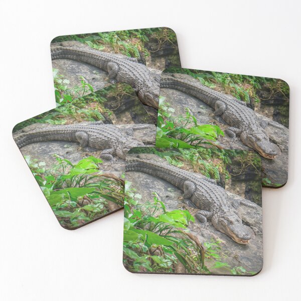 Item preview, Alligator  designed and sold by barkeypf.