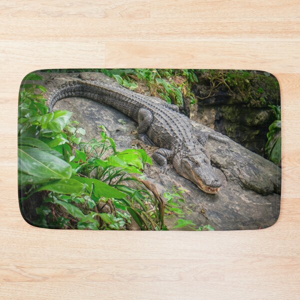 Item preview, Alligator  designed and sold by barkeypf.