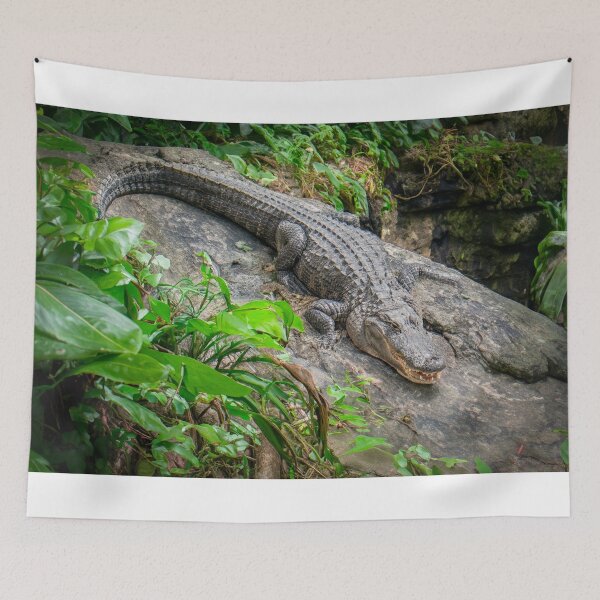Item preview, Alligator  designed and sold by barkeypf.