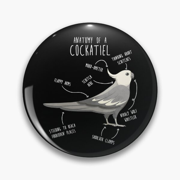 Item preview, Whiteface Cockatiel Anatomy designed and sold by Clara Hollins.