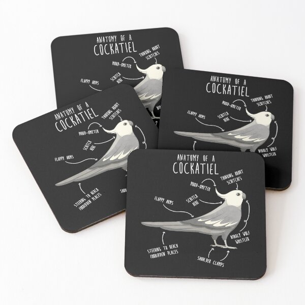 Item preview, Whiteface Cockatiel Anatomy designed and sold by Clara Hollins.