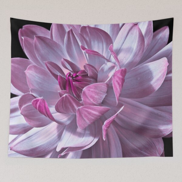 Item preview, Dahlia Magic designed and sold by assaf.