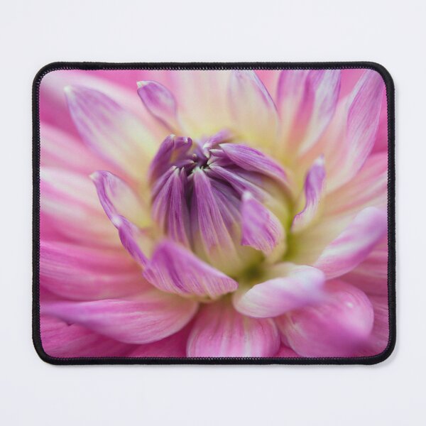 Item preview, Dahlia flowers designed and sold by assaf.