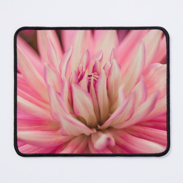 Item preview, Dahlia flowers designed and sold by assaf.
