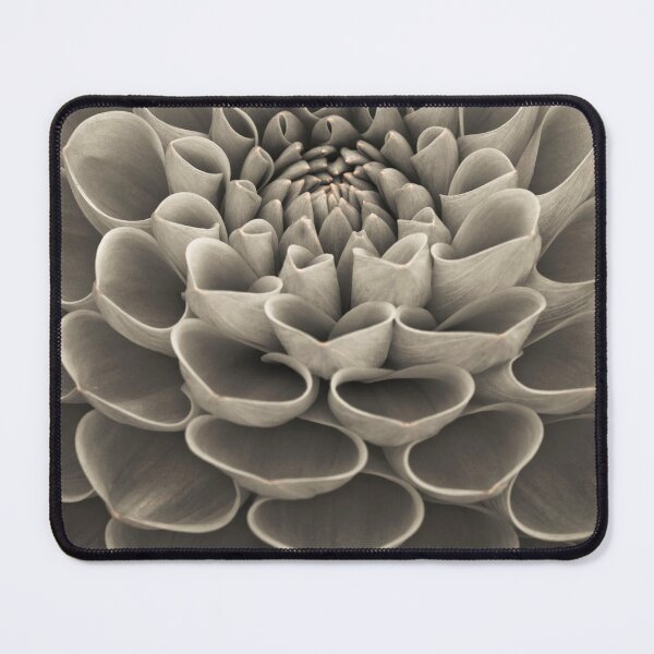Item preview, Dahlia Petals designed and sold by assaf.