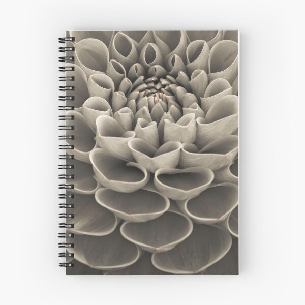 Item preview, Dahlia Petals designed and sold by assaf.