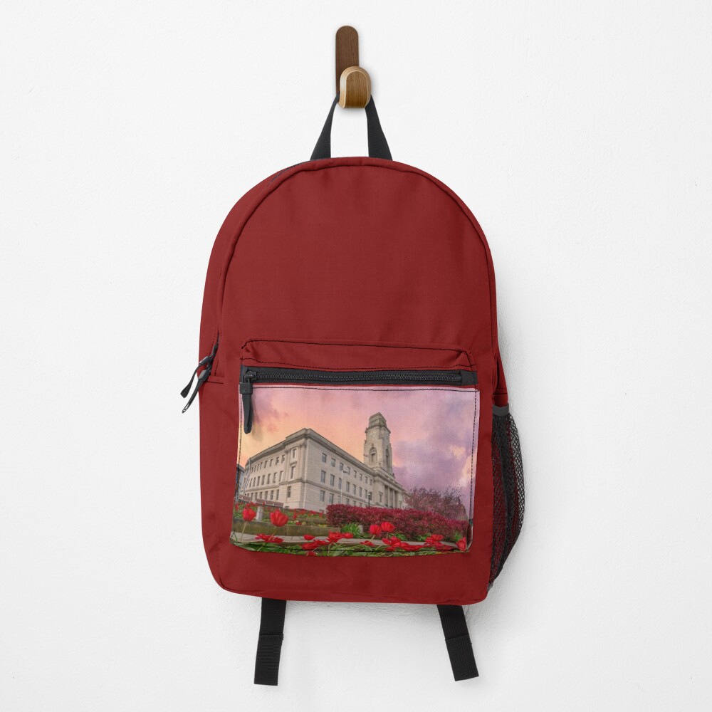 Aperçu de l'œuvre Sac à dos créée et vendue par Alisonchambers2.