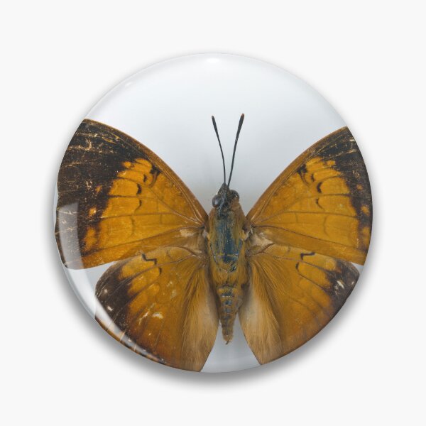 Item preview, Butterfly designed and sold by assaf.