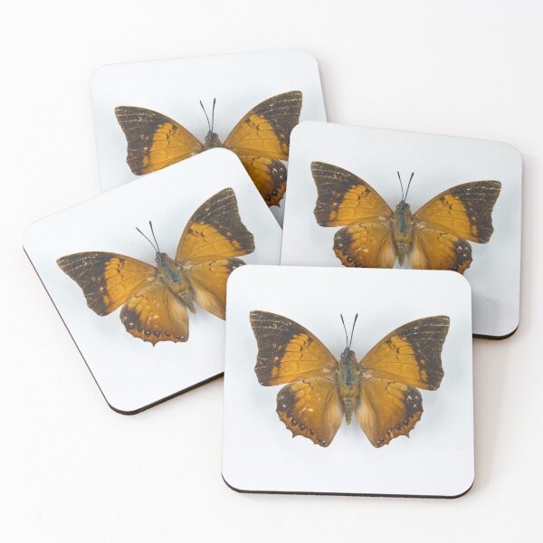 Item preview, Butterfly designed and sold by assaf.