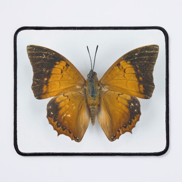 Item preview, Butterfly designed and sold by assaf.