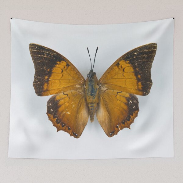 Item preview, Butterfly designed and sold by assaf.