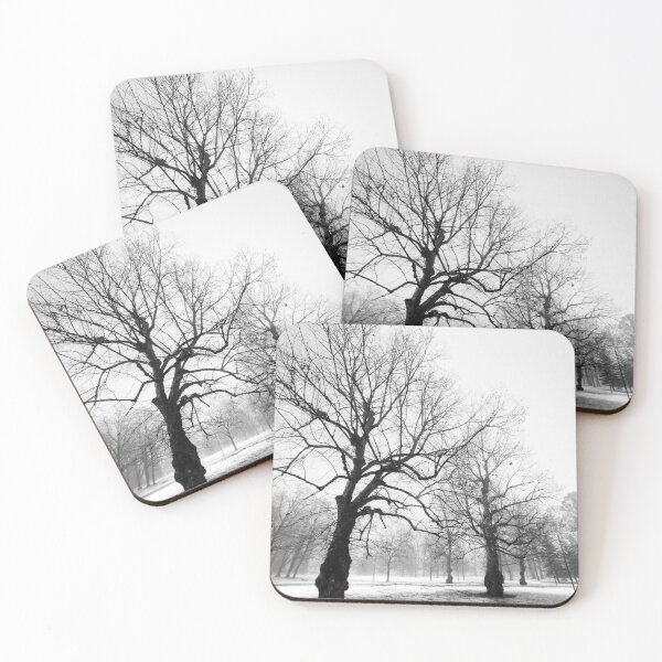 Item preview, 16.3.2024: Trees in Foggy Park designed and sold by Petri Volanen.