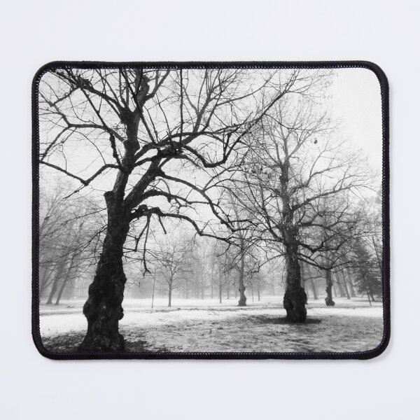 Item preview, 16.3.2024: Trees in Foggy Park designed and sold by Petri Volanen.