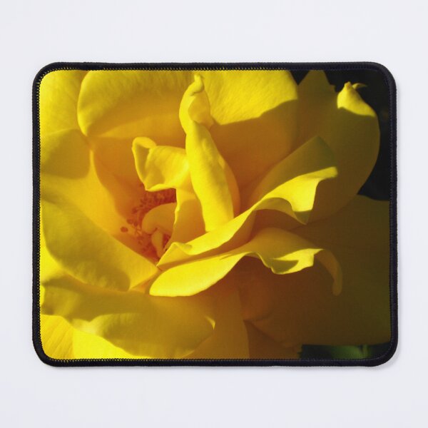 Item preview, Yellow Rose Full Bloom in Light and Shadow designed and sold by JoyousArt4u.