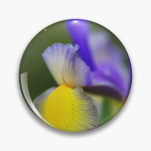 Item preview, Miss Saigon Beardless Spring Iris designed and sold by Joy Watson - Natural Light Photography .