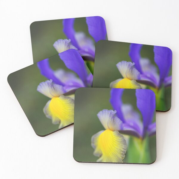 Item preview, Miss Saigon Beardless Spring Iris designed and sold by Joy Watson - Natural Light Photography .