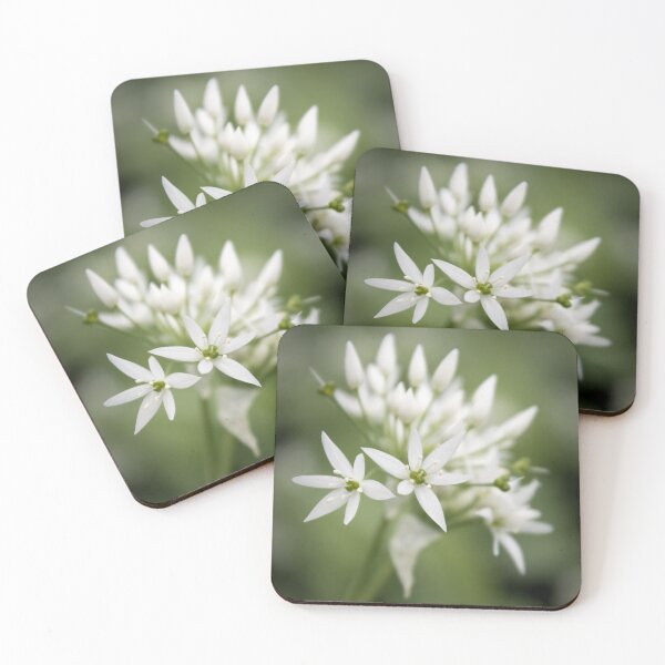 Item preview, Wild Garlic designed and sold by JEZ22.