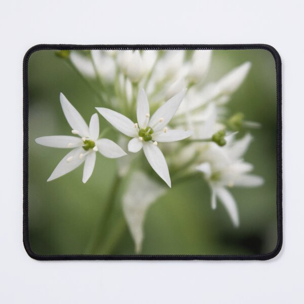 Item preview, Wild Garlic designed and sold by JEZ22.