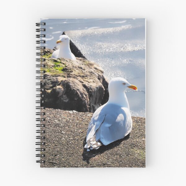 Item preview, Herring Gulls Resting On The Rocks designed and sold by Dorset Girl.
