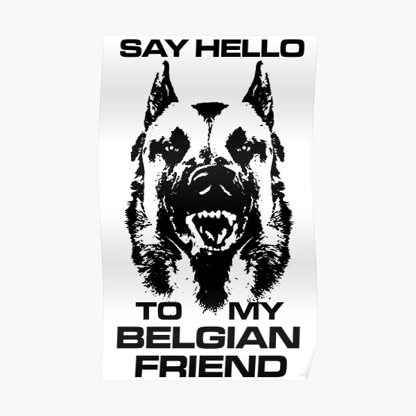 Malinois - Belgian shepherd - Mechelaar Poster