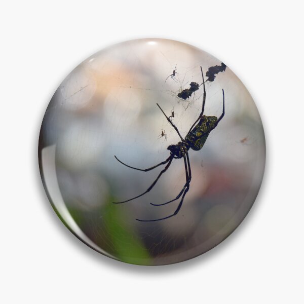 Item preview, Orb Spiders - Sungei Buloh, Singapore (highest resolution and best quality) designed and sold by Pete Klimek.