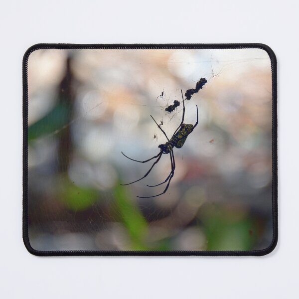 Item preview, Orb Spiders - Sungei Buloh, Singapore (highest resolution and best quality) designed and sold by Pete Klimek.