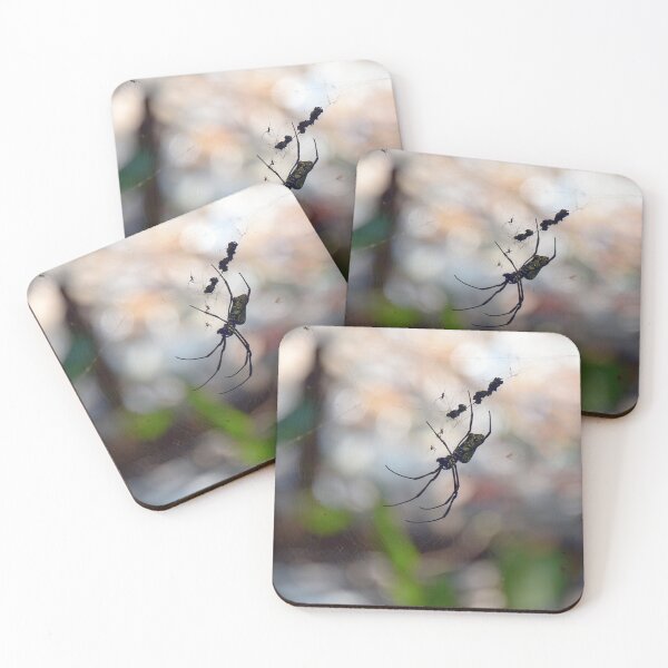 Item preview, Orb Spiders - Sungei Buloh, Singapore (highest resolution and best quality) designed and sold by Pete Klimek.